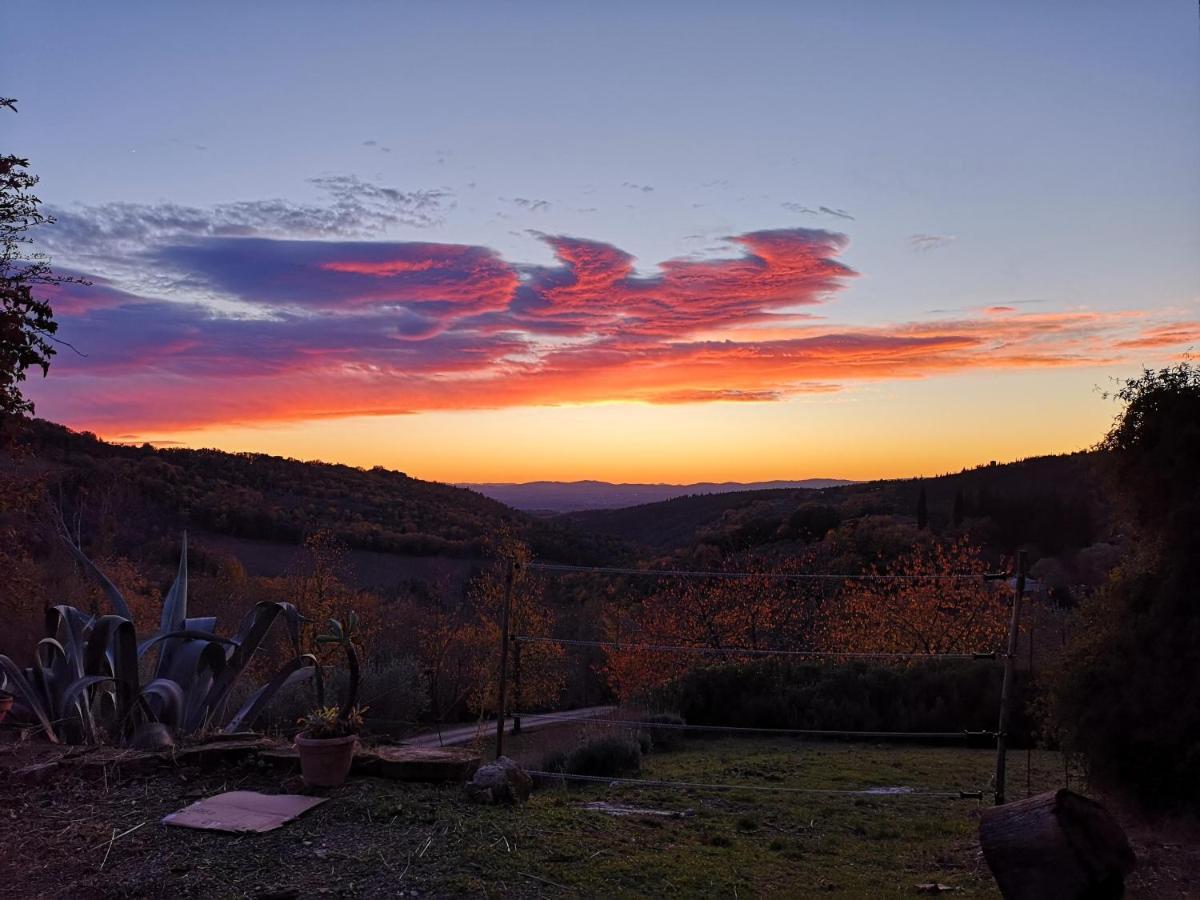 Agriturismo Capanna Delle Cozzole Konuk evi Castellina in Chianti Dış mekan fotoğraf