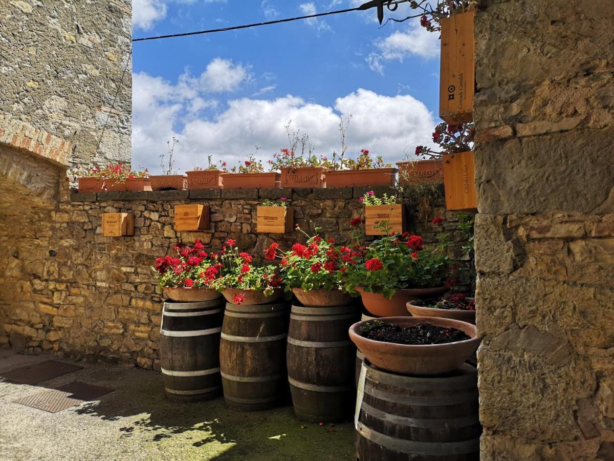 Agriturismo Capanna Delle Cozzole Konuk evi Castellina in Chianti Dış mekan fotoğraf