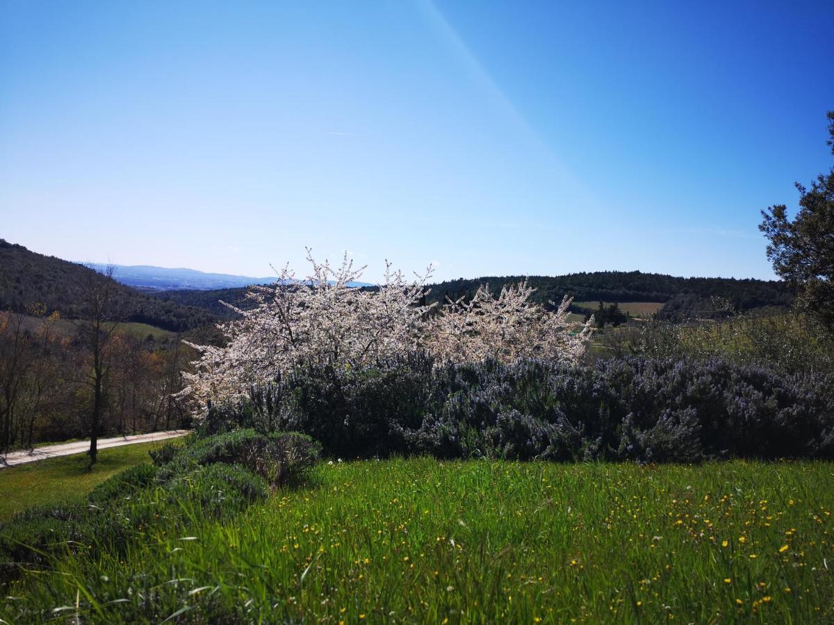 Agriturismo Capanna Delle Cozzole Konuk evi Castellina in Chianti Dış mekan fotoğraf